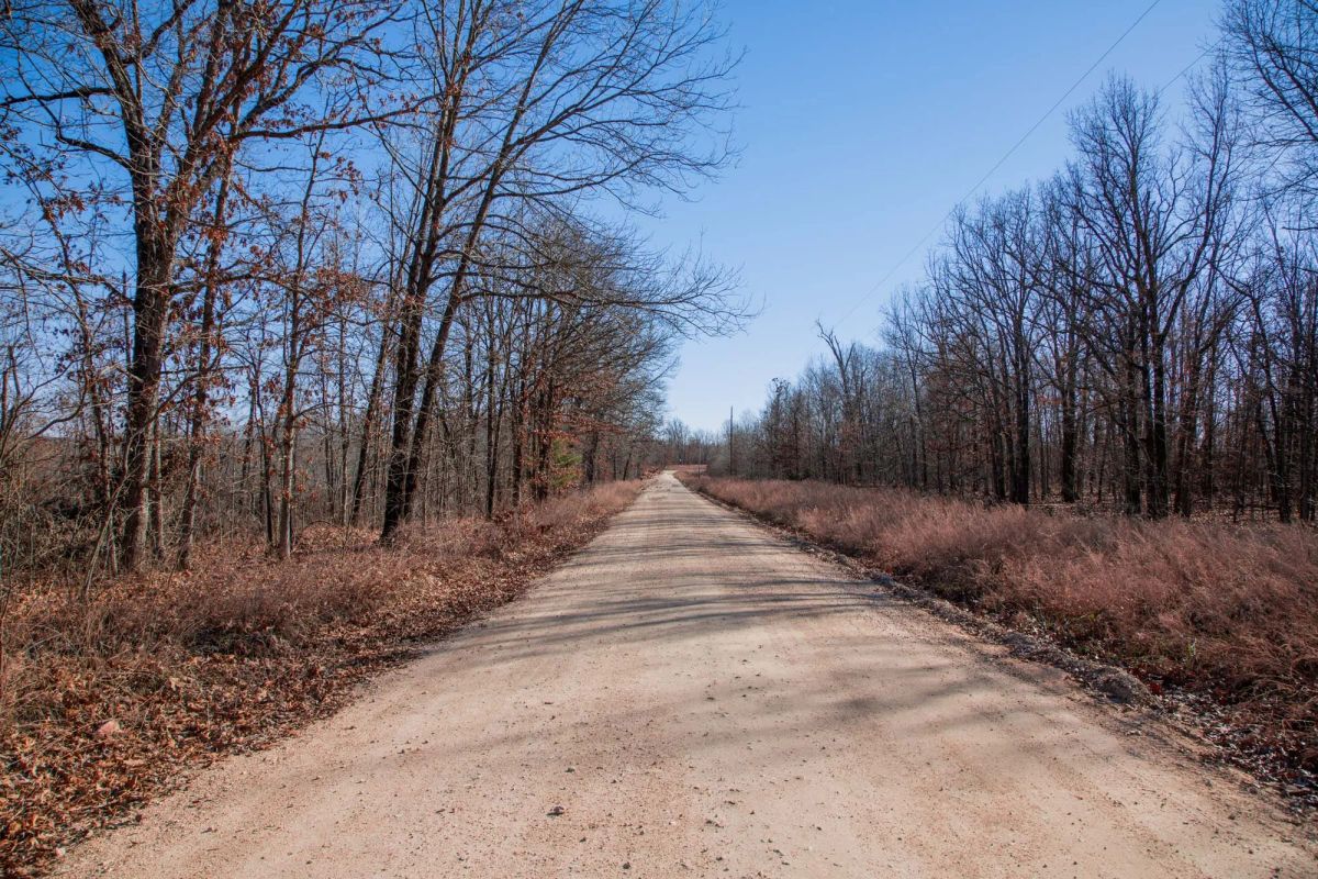 Decorative background for Buffalo Hills Tract 22 image 11