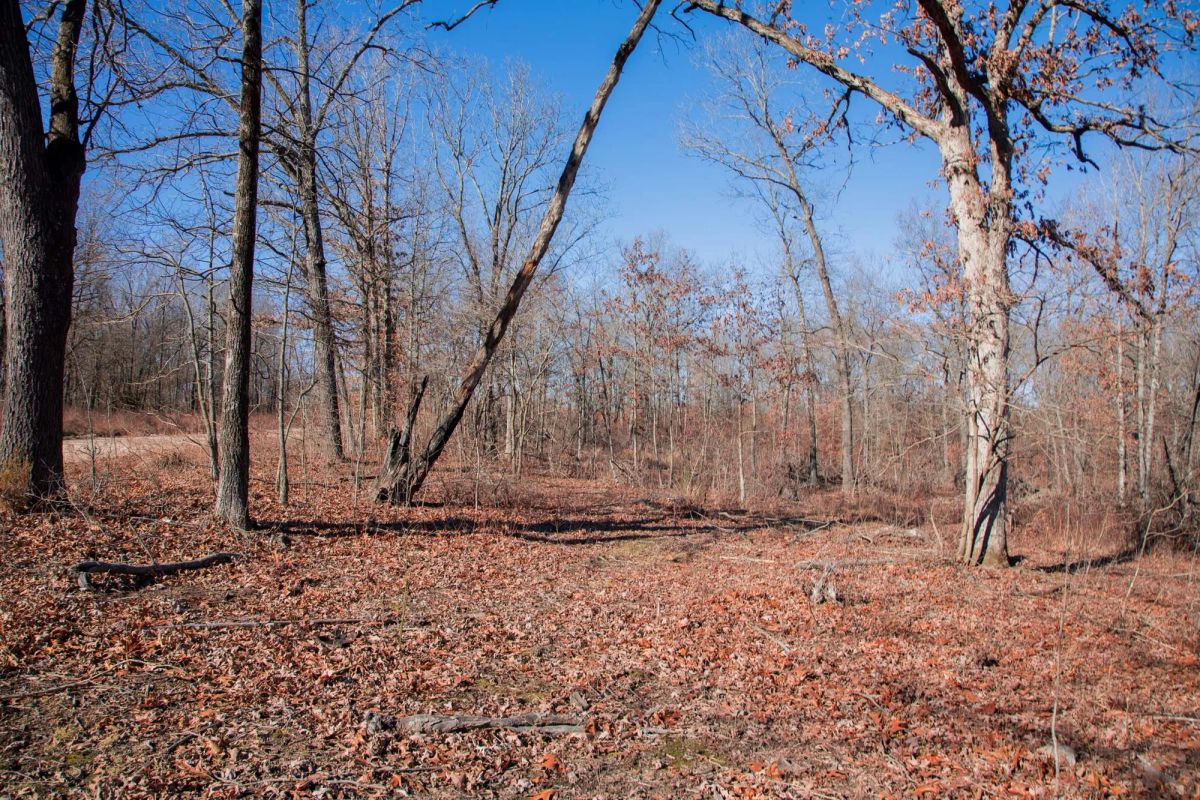 Decorative background for Buffalo Hills Tract 22 image 12
