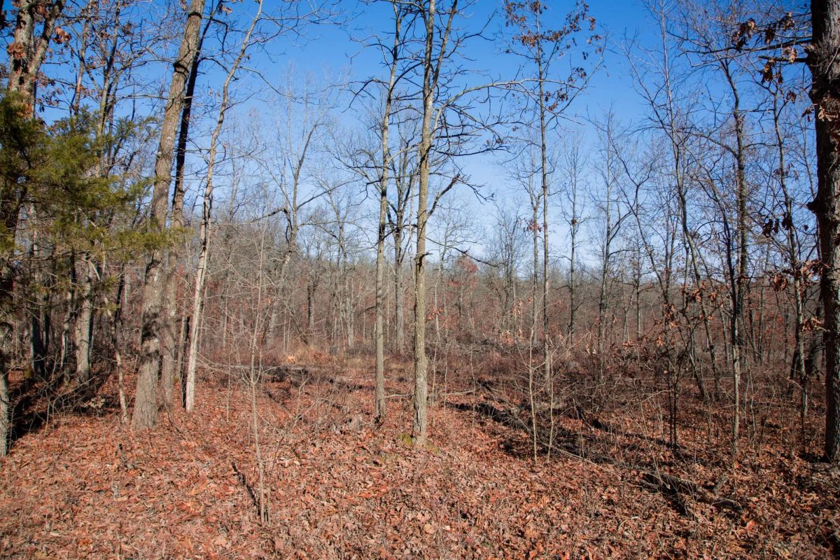 Decorative background for Buffalo Hills Tract 22 image 13