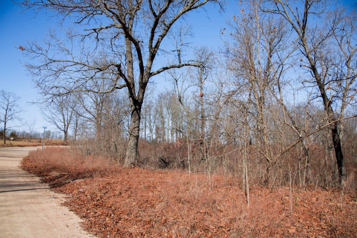 Decorative background for Buffalo Hills Tract 22 image 15