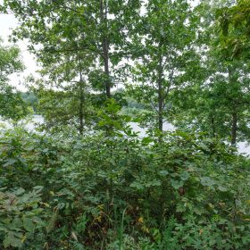 Spring Lake Plat 5 Tract 23 in Miller County, MO