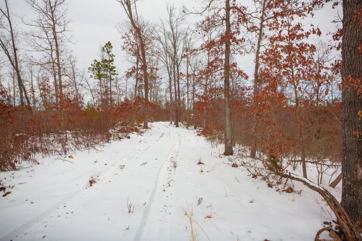 Decorative background for Sleepy Hollow Phase I Tract 21 image 5