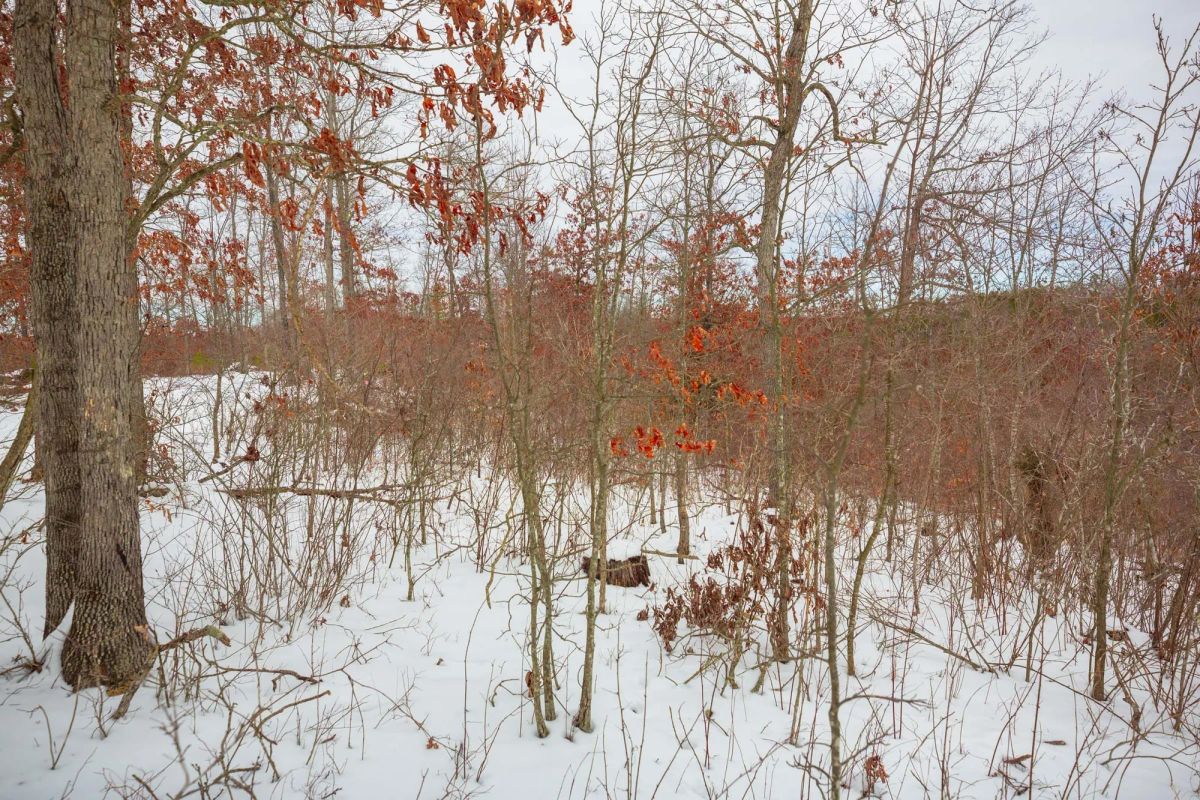 Decorative background for Sleepy Hollow Phase I Tract 21 image 11