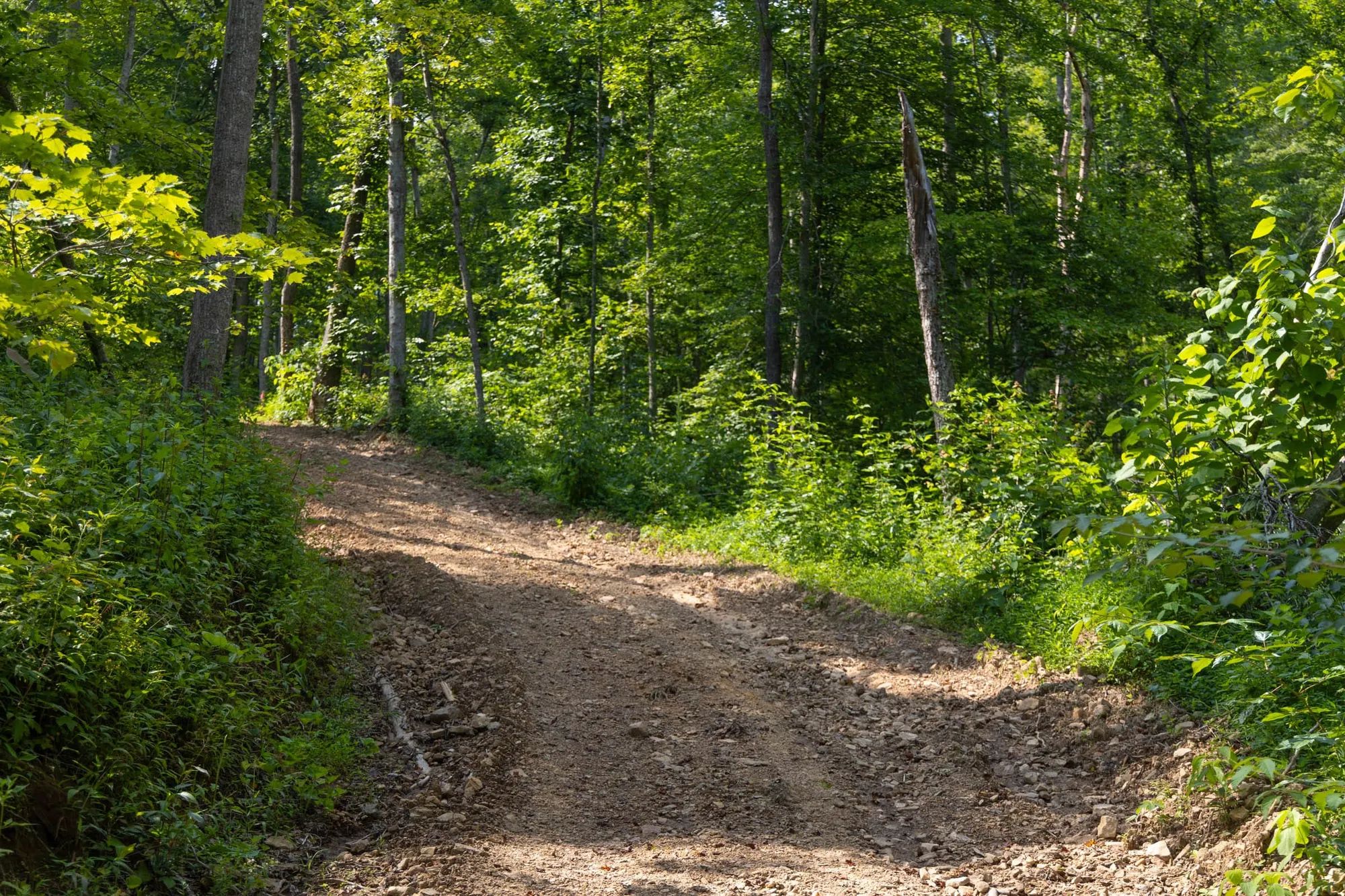 Creek Hollow Phase II Tract 67 in Rockcastle County, KY