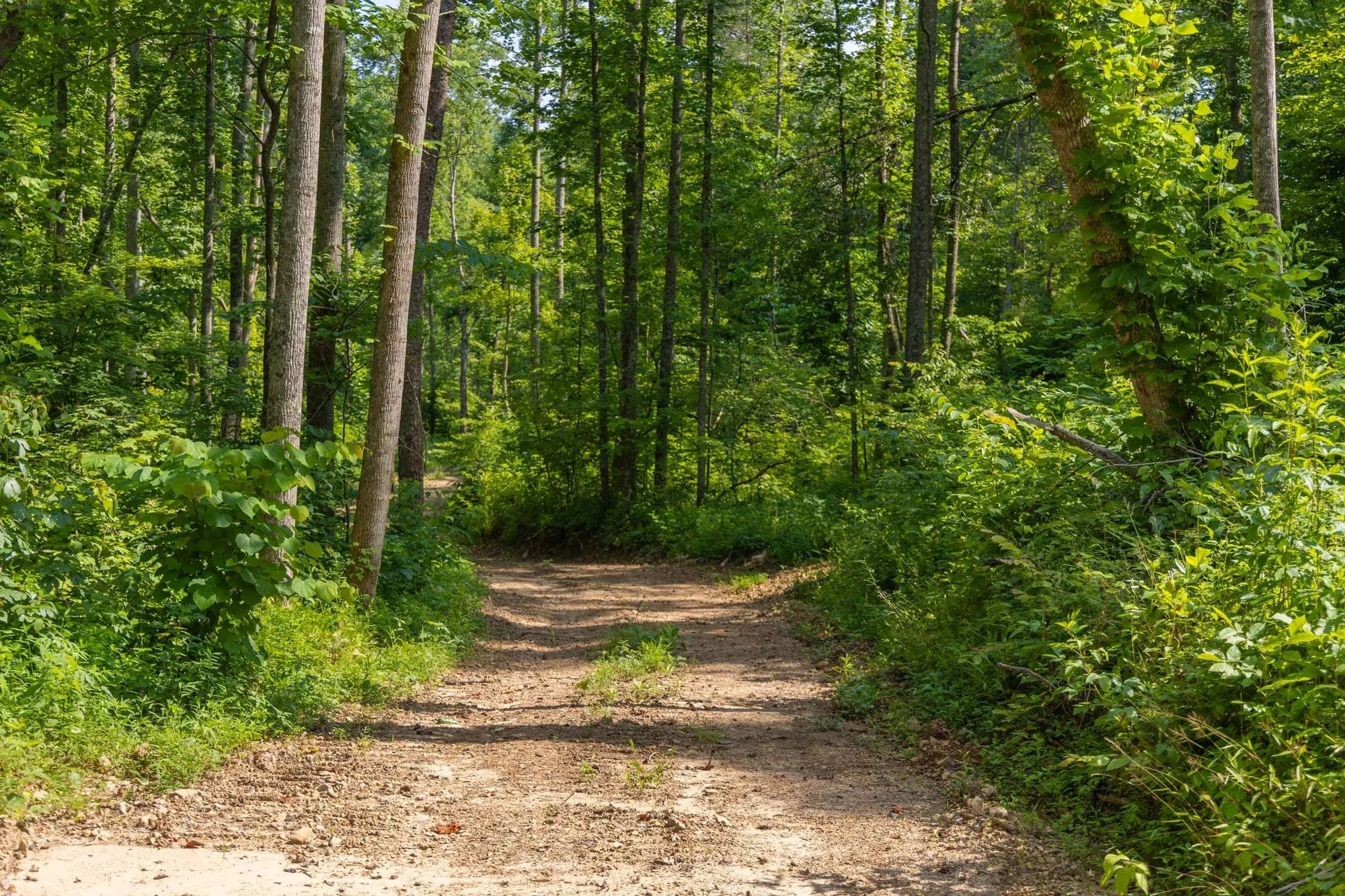 Creek Hollow Phase II Tract 67 in Rockcastle County, KY