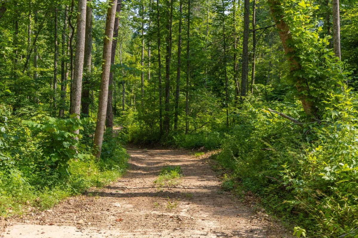 Creek Hollow Phase II Tract 67 - Image 3