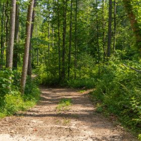 Creek Hollow Phase II Tract 67 in Rockcastle County, KY