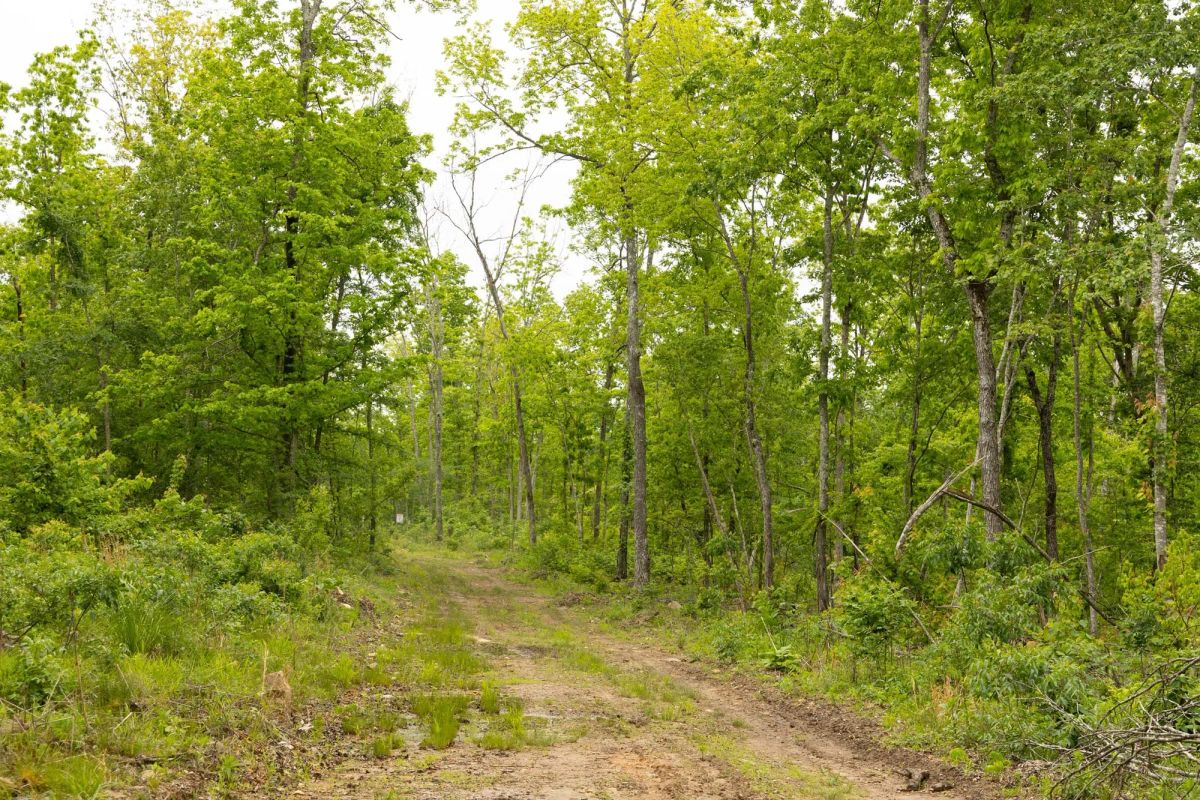Stardust Estates Tract 17 - Image 2