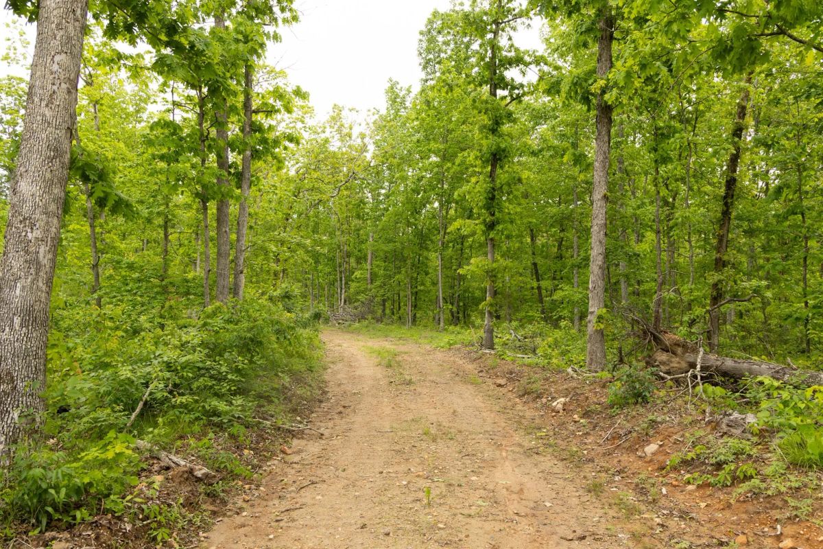 Decorative background for Stardust Estates Tract 17 image 8