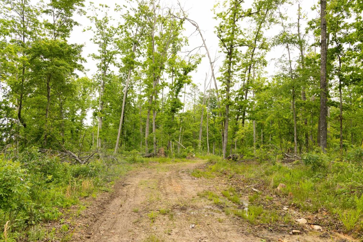 Decorative background for Stardust Estates Tract 17 image 9
