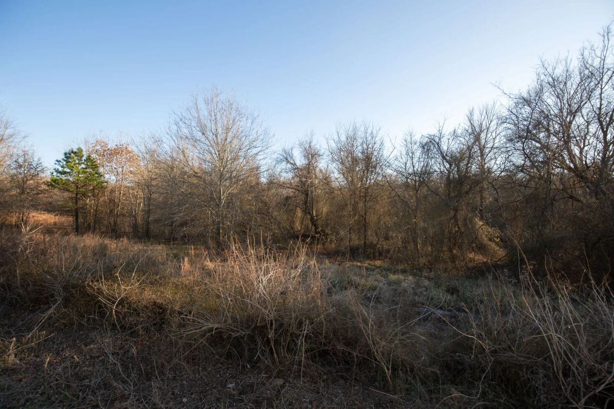 Decorative background for Painted Horse Tract 43 image 6