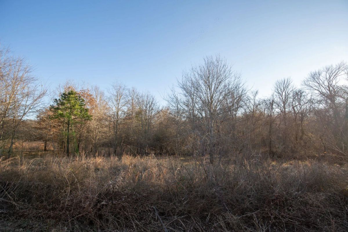 Decorative background for Painted Horse Tract 43 image 9