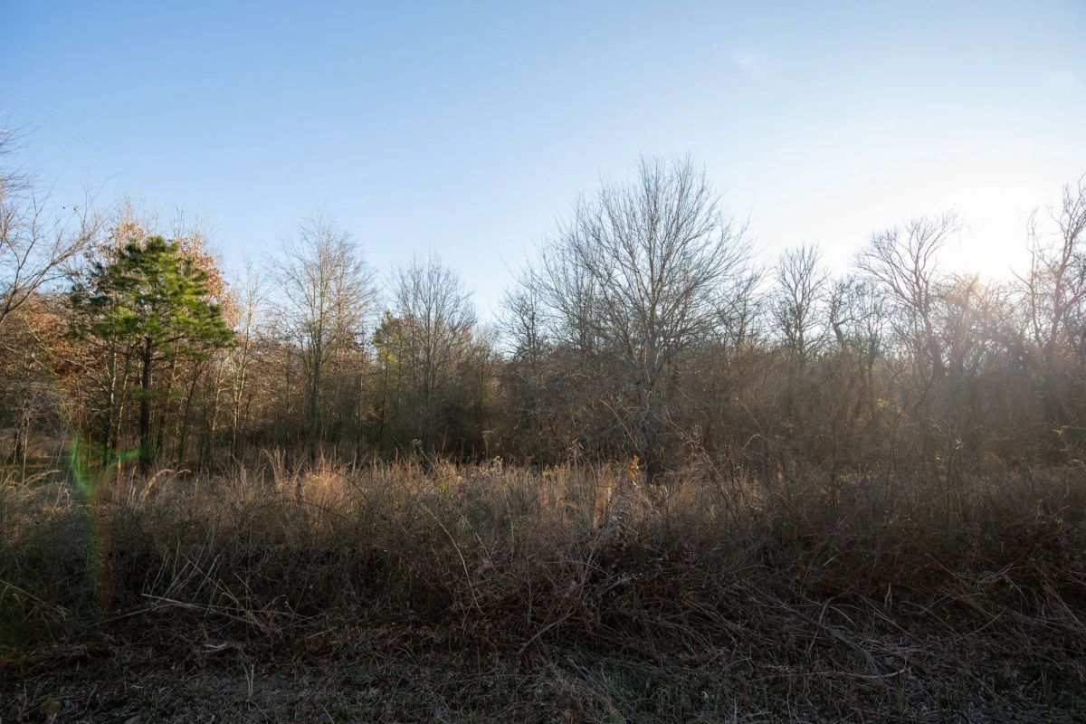 Decorative background for Painted Horse Tract 43 image 10