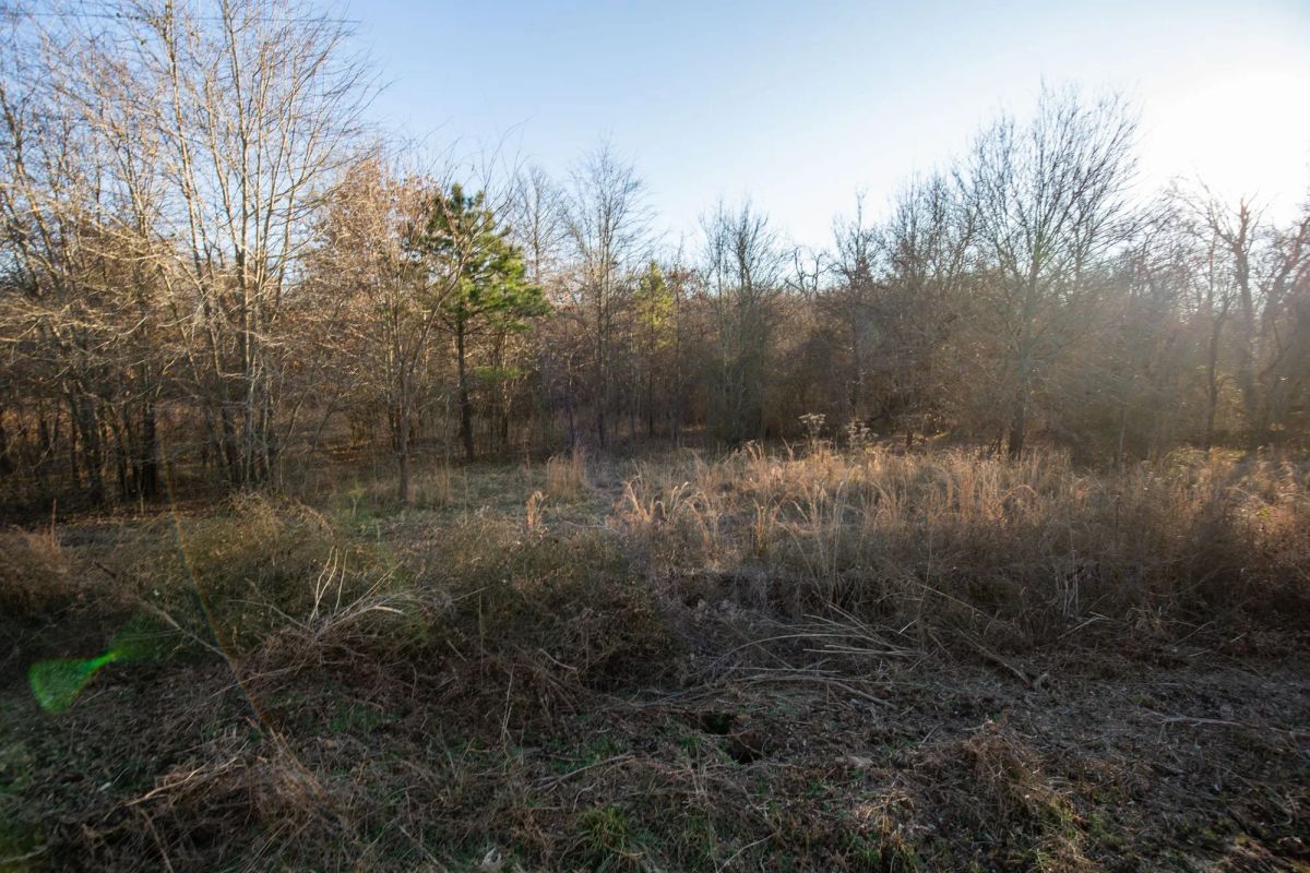 Decorative background for Painted Horse Tract 43 image 11