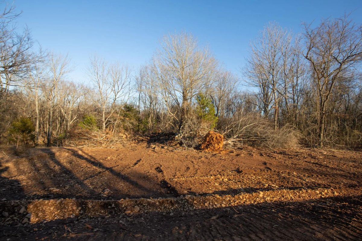 Decorative background for Painted Horse Tract 43 image 13