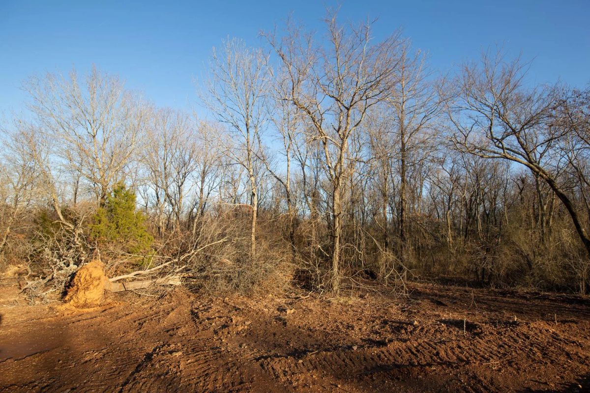 Decorative background for Painted Horse Tract 43 image 19