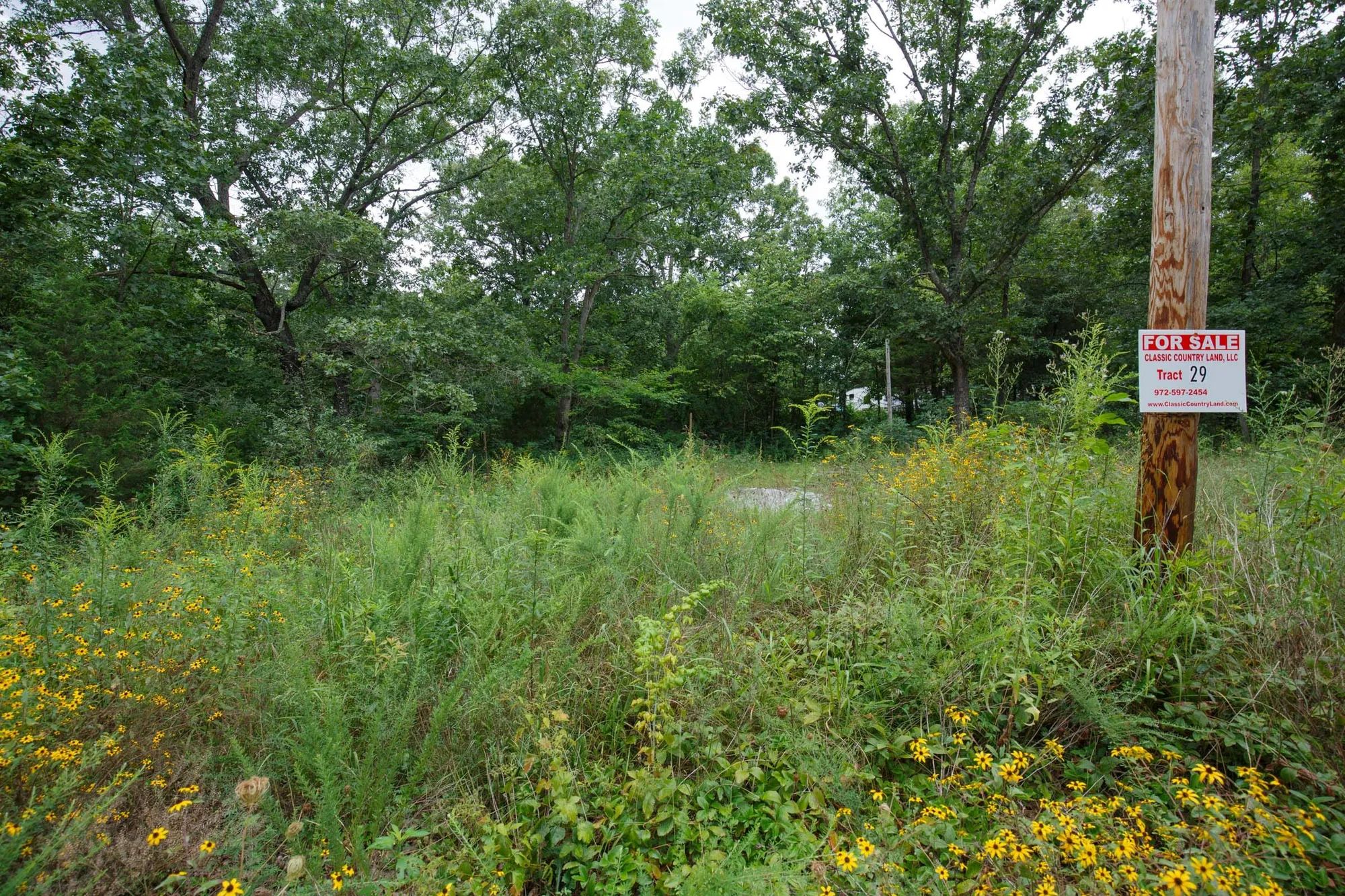 Spring Lake Plat 2 Tract 29 in Miller County, MO