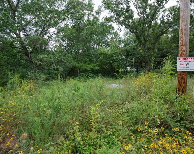 Spring Lake Plat 2 Tract 29 in Miller County, MO