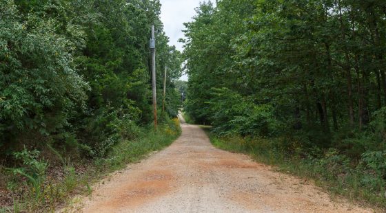 Spring Lake Plat 2 Tract 29 in Miller County, MO