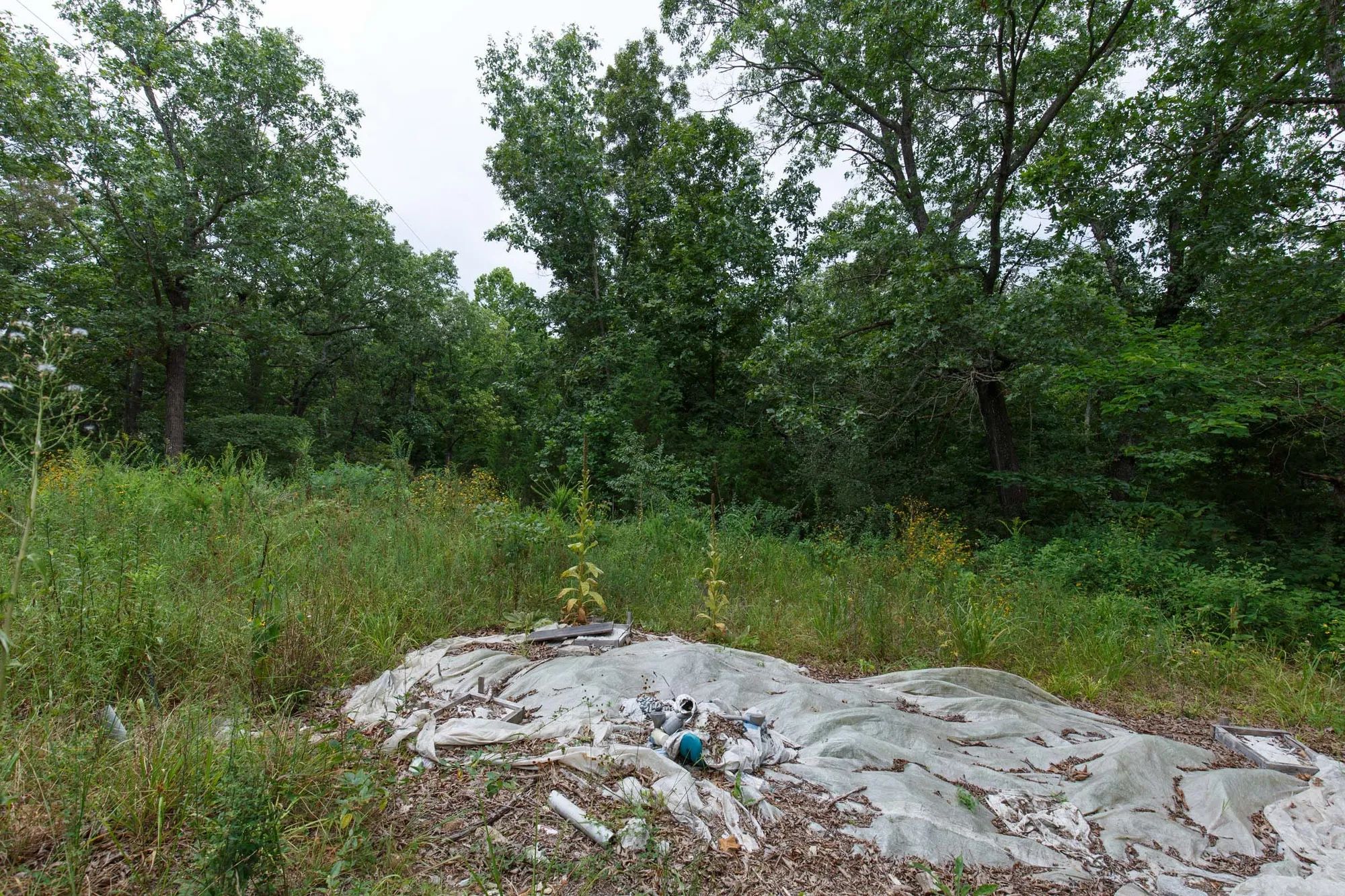 Spring Lake Plat 2 Tract 29 in Miller County, MO