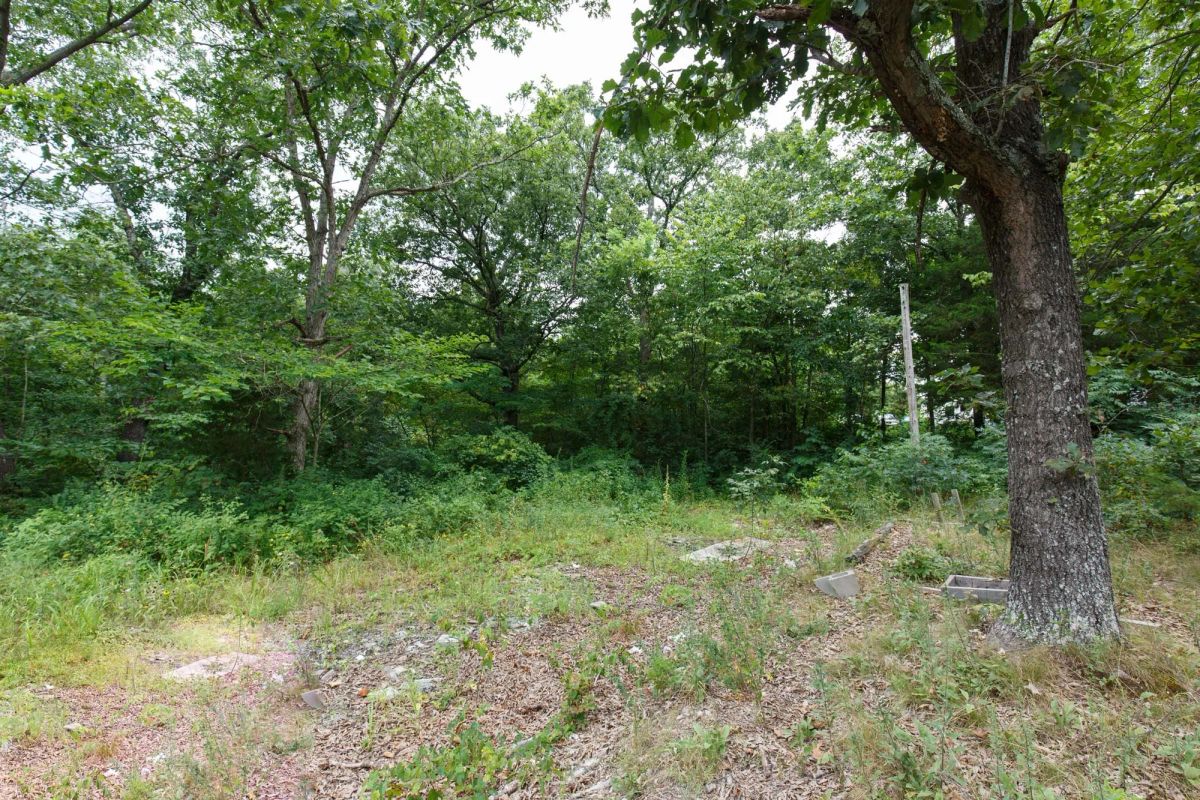 Spring Lake Plat 2 Tract 29 - Image 4