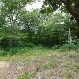 Spring Lake Plat 2 Tract 29 in Miller County, MO