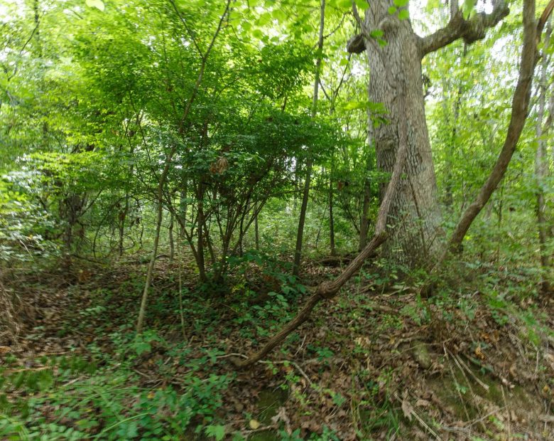 Spring Lake Plat 4 Tract 59 in Miller County, MO