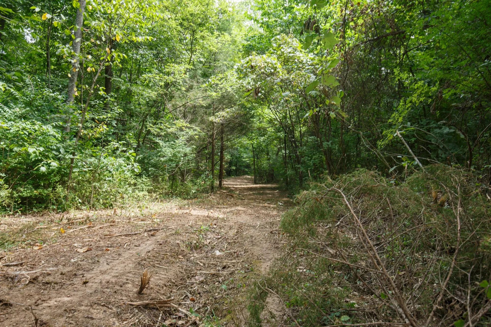 Spring Lake Plat 4 Tract 59 in Miller County, MO