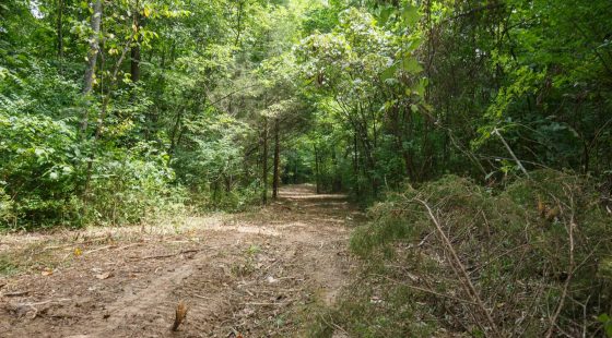 Spring Lake Plat 4 Tract 59 in Miller County, MO
