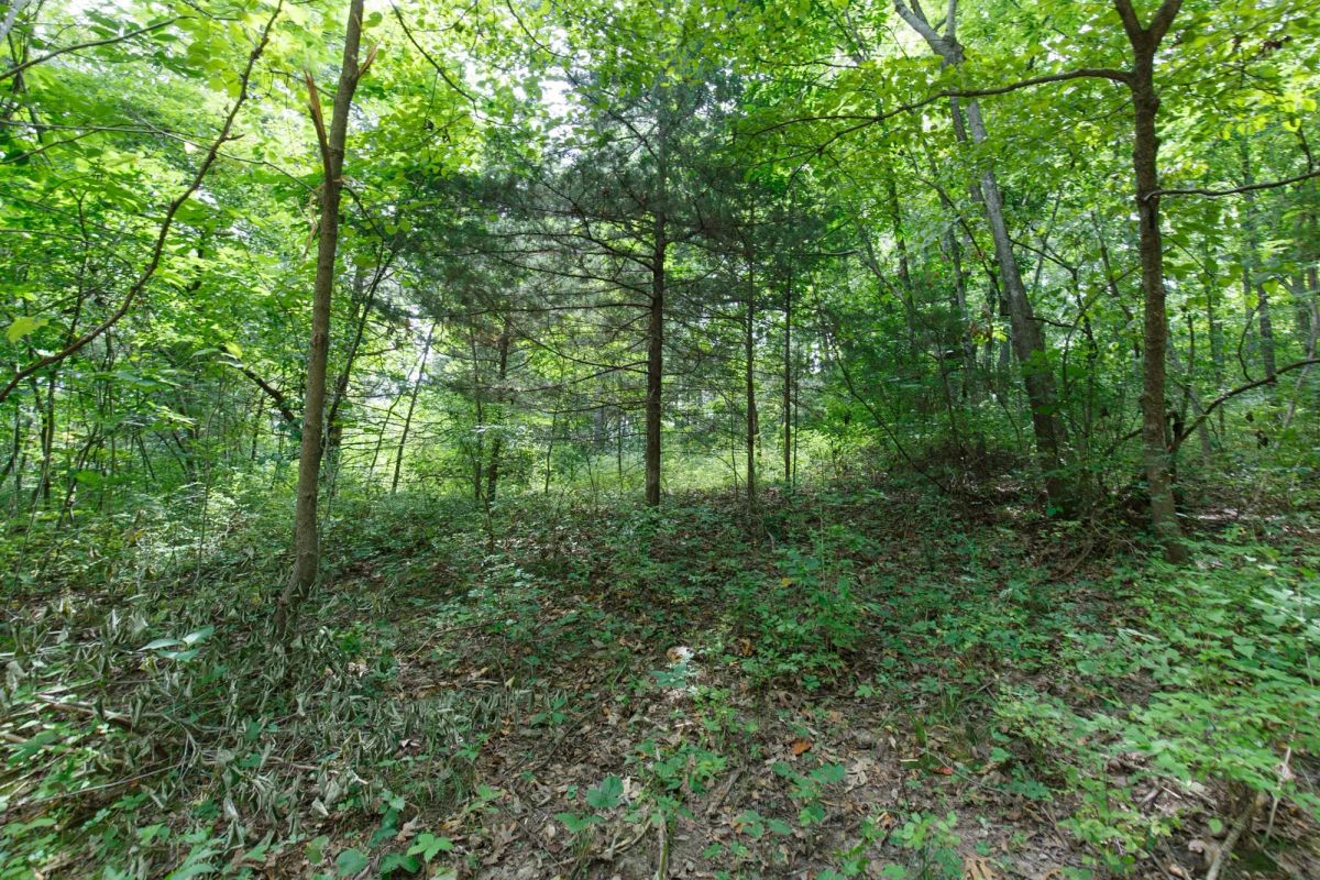 Spring Lake Plat 4 Tract 59 - Image 3