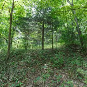 Spring Lake Plat 4 Tract 59 in Miller County, MO