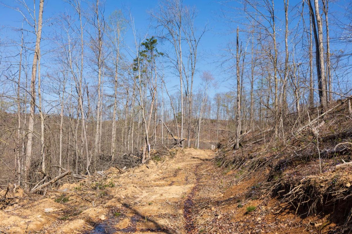 Creek Hollow Phase I Tract 53 - Main image