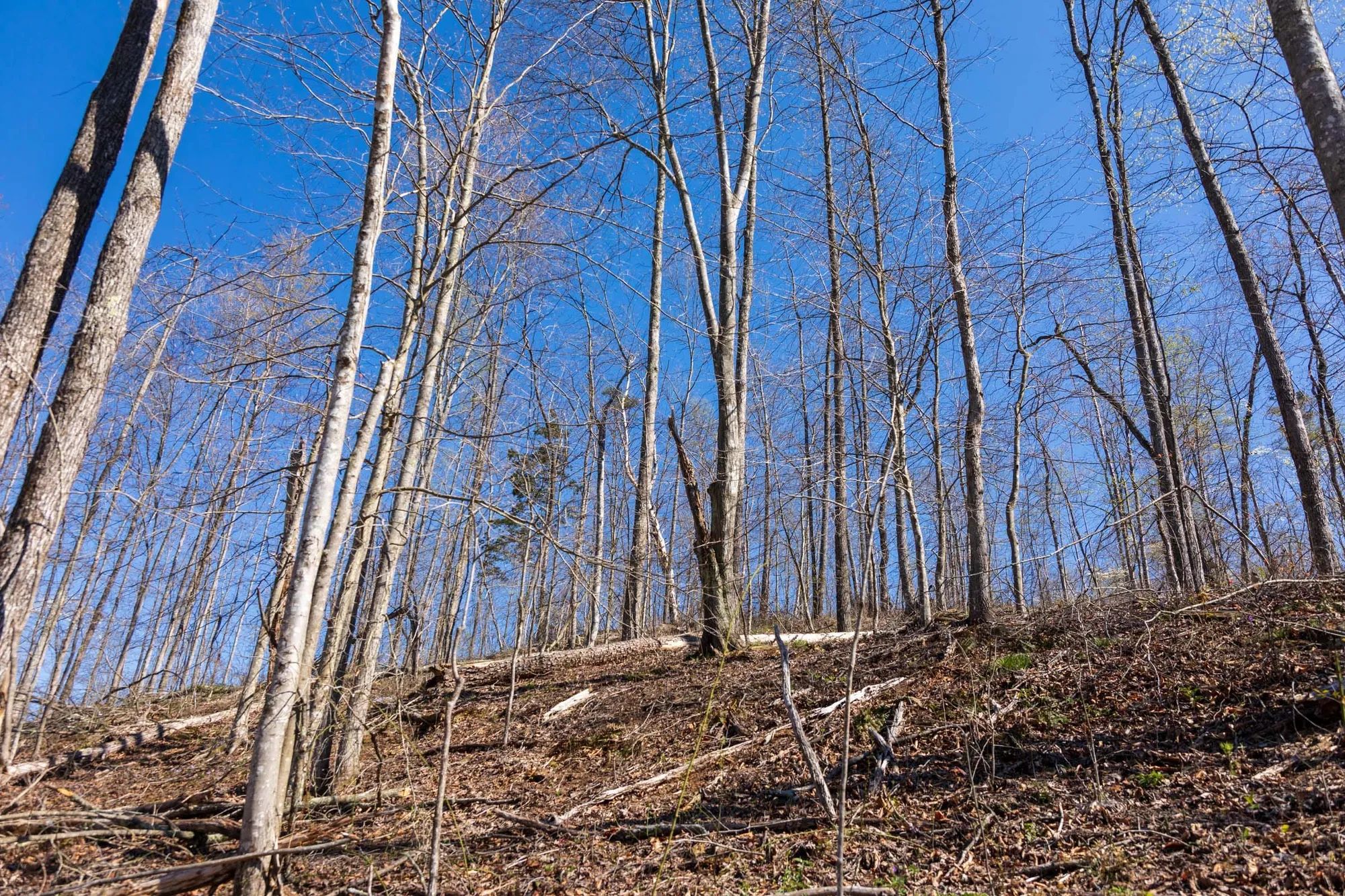 Creek Hollow Phase I Tract 53 in Rockcastle County, KY