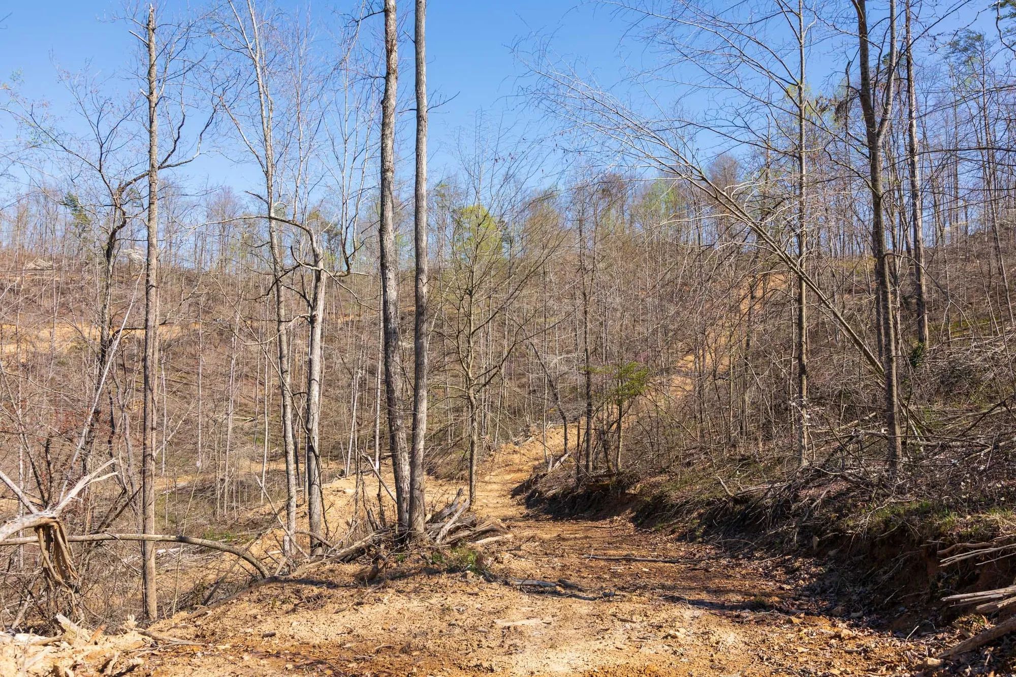 Creek Hollow Phase I Tract 53 in Rockcastle County, KY