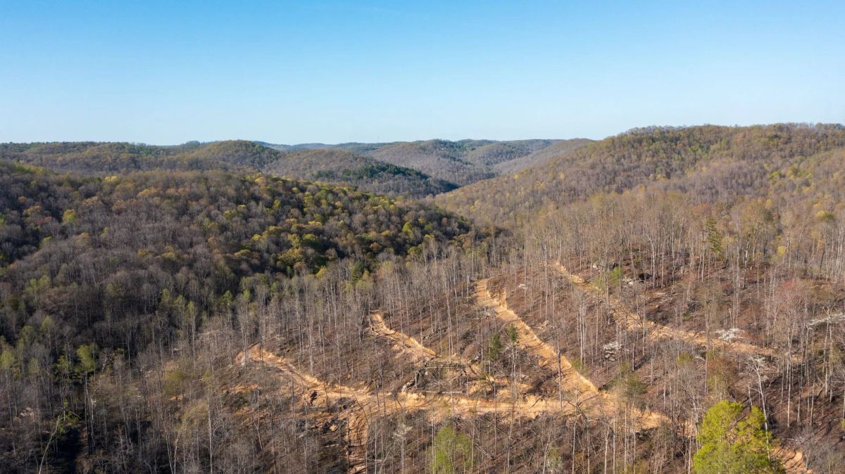 Decorative background for Creek Hollow Phase I Tract 53 image 9