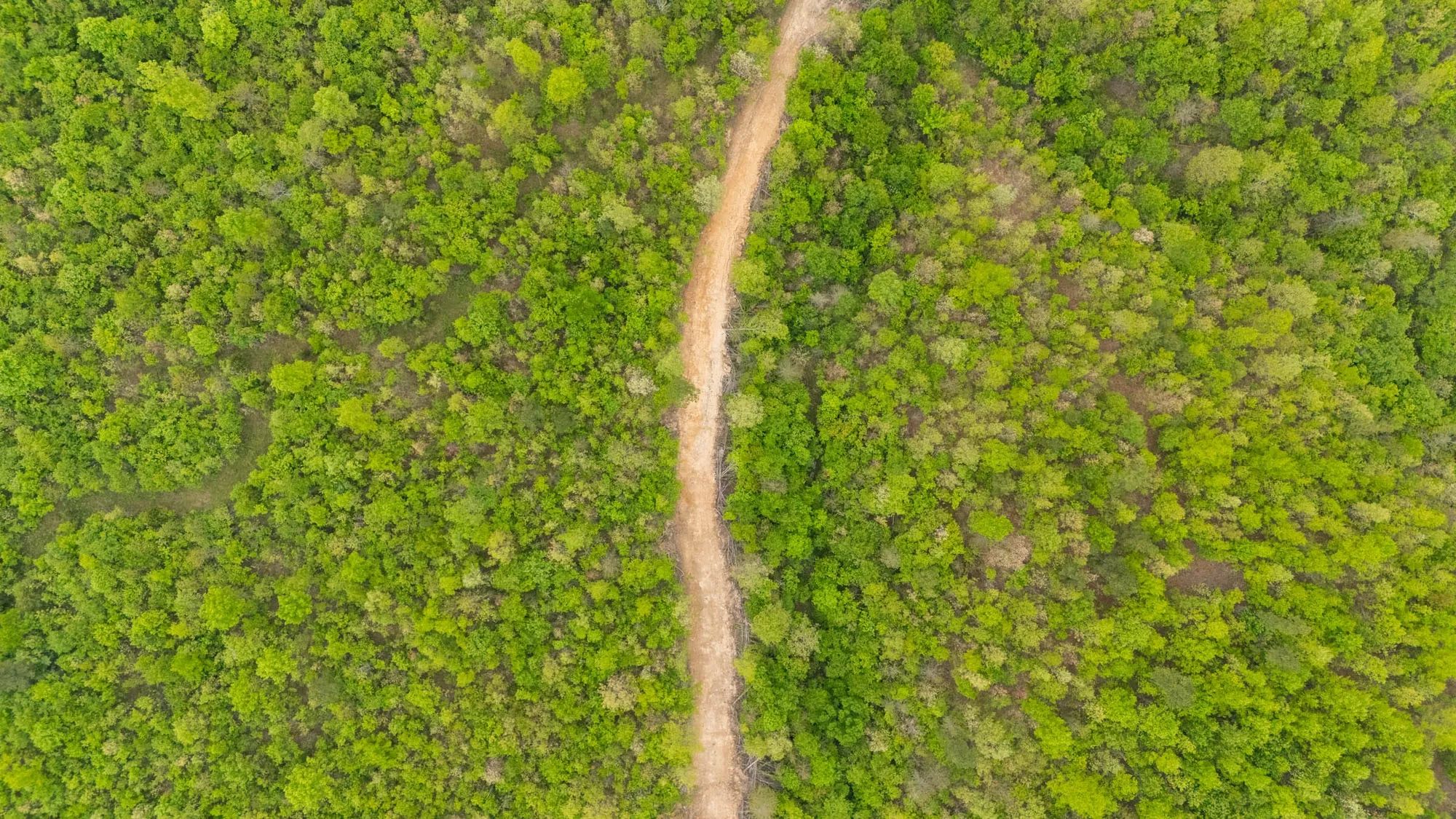 Double S Ranch Tract 9 in Reynolds County, MO