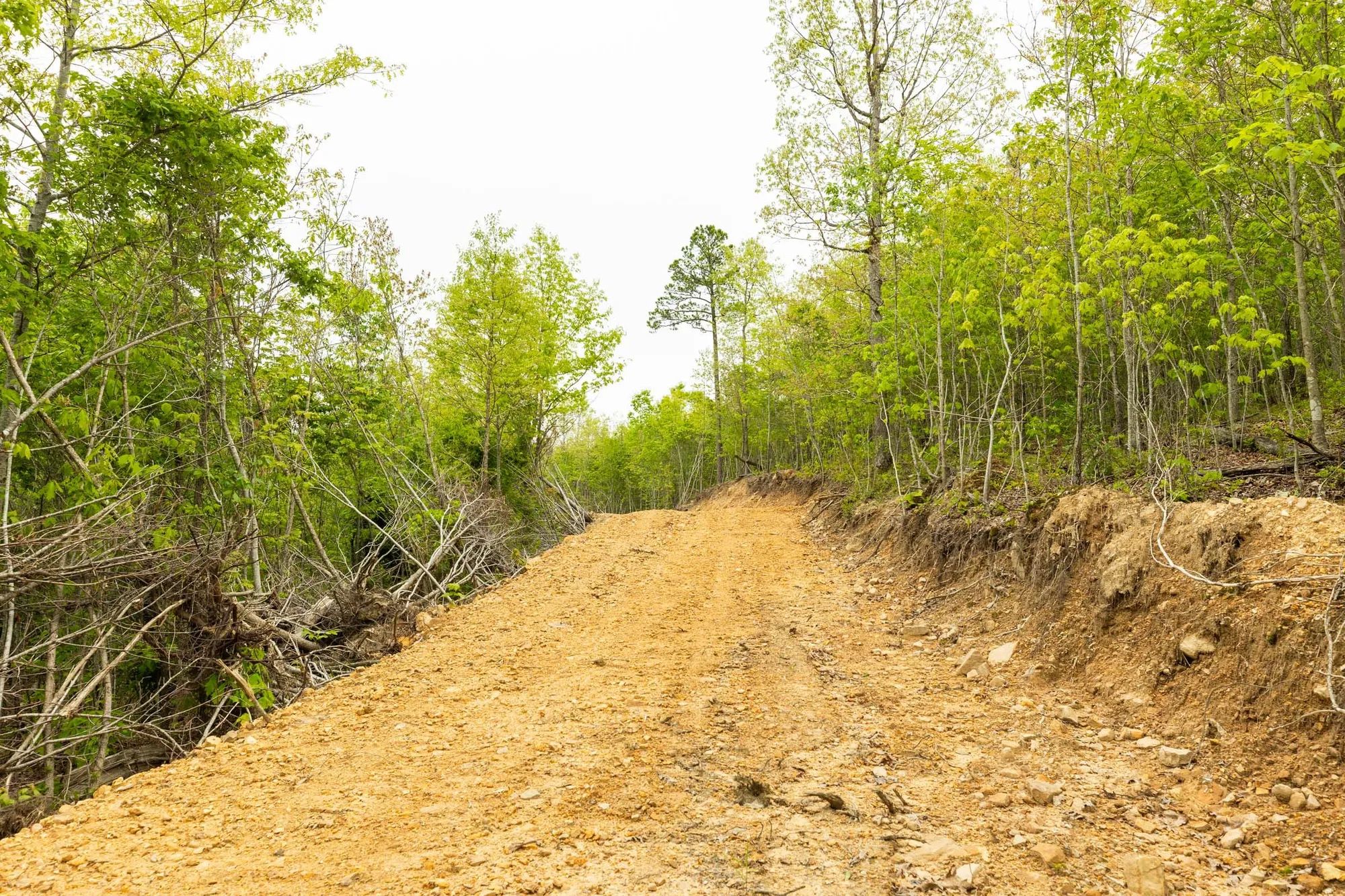 Double S Ranch Tract 9 in Reynolds County, MO