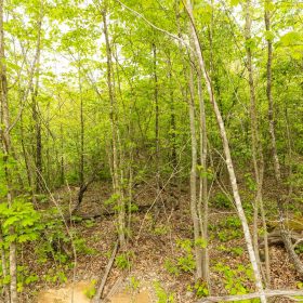 Double S Ranch Tract 9 in Reynolds County, MO