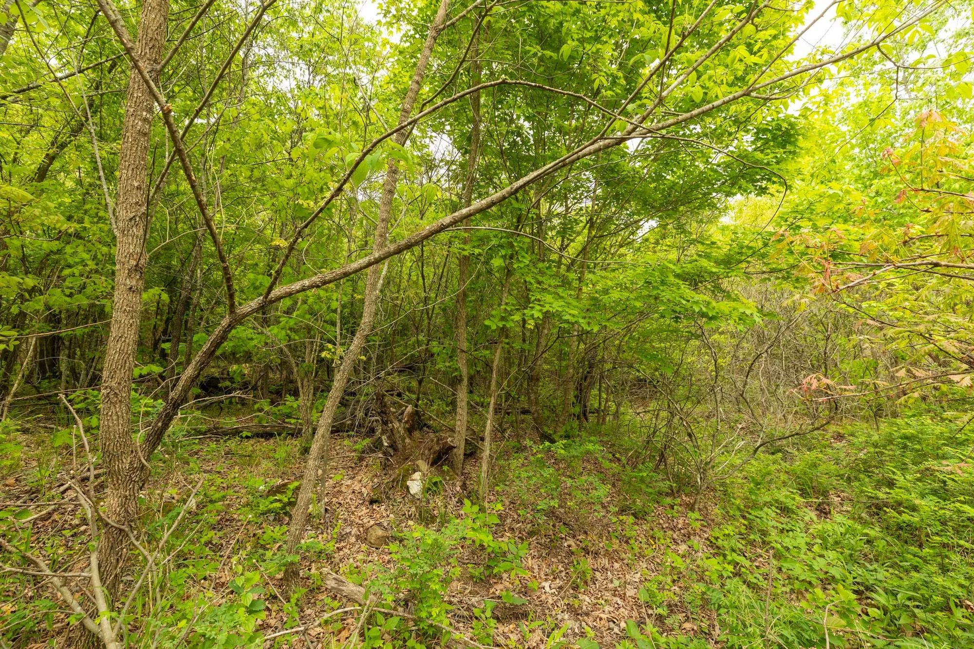 Double S Ranch Tract 9 in Reynolds County, MO