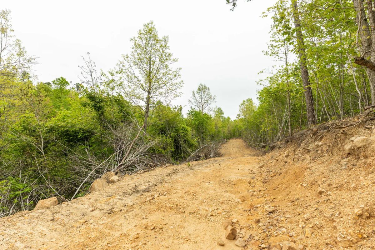 Decorative background for Double S Ranch Tract 9 image 6