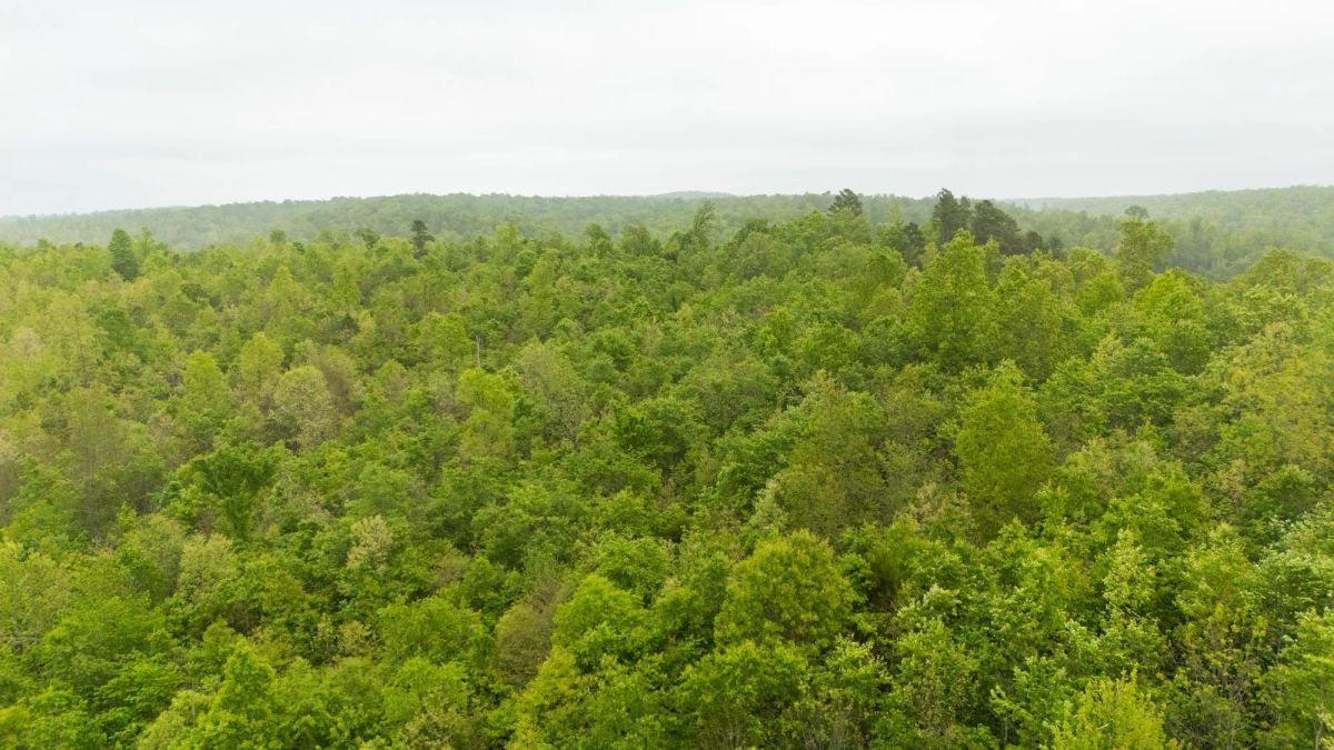 Decorative background for Double S Ranch Tract 9 image 9