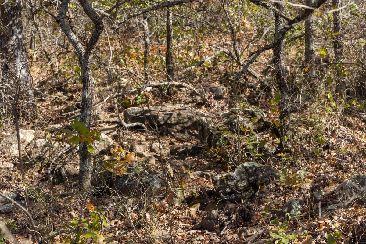 Harmony Hills Tract 48 - Image 2
