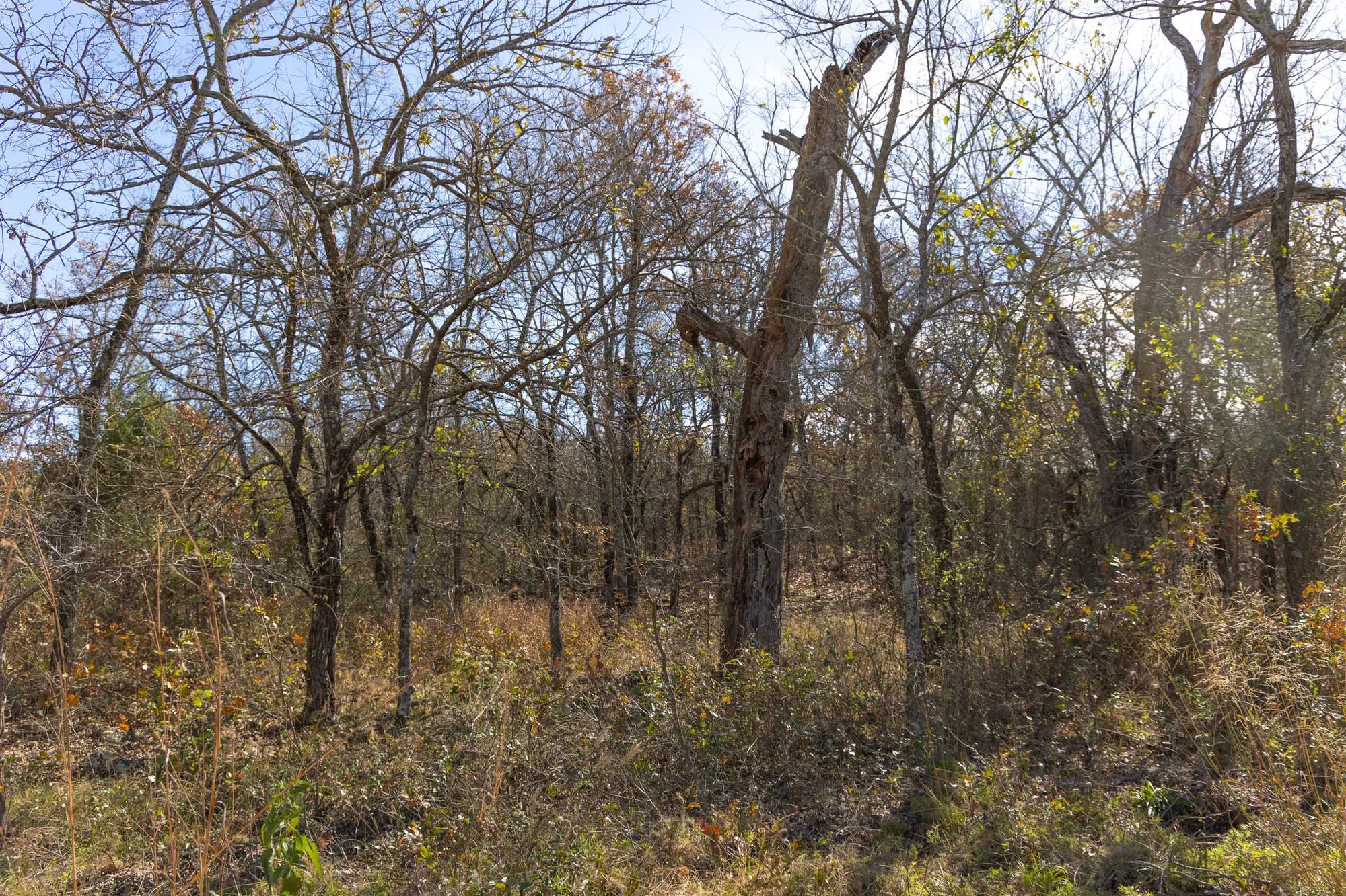 Harmony Hills Tract 48 in Pittsburg County, OK