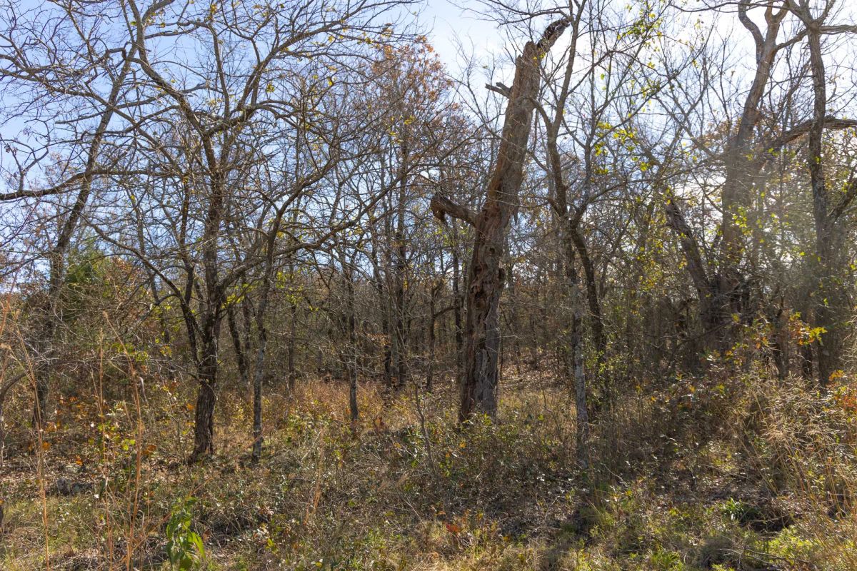 Harmony Hills Tract 48 - Image 4