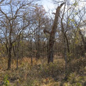 Harmony Hills Tract 48 in Pittsburg County, OK