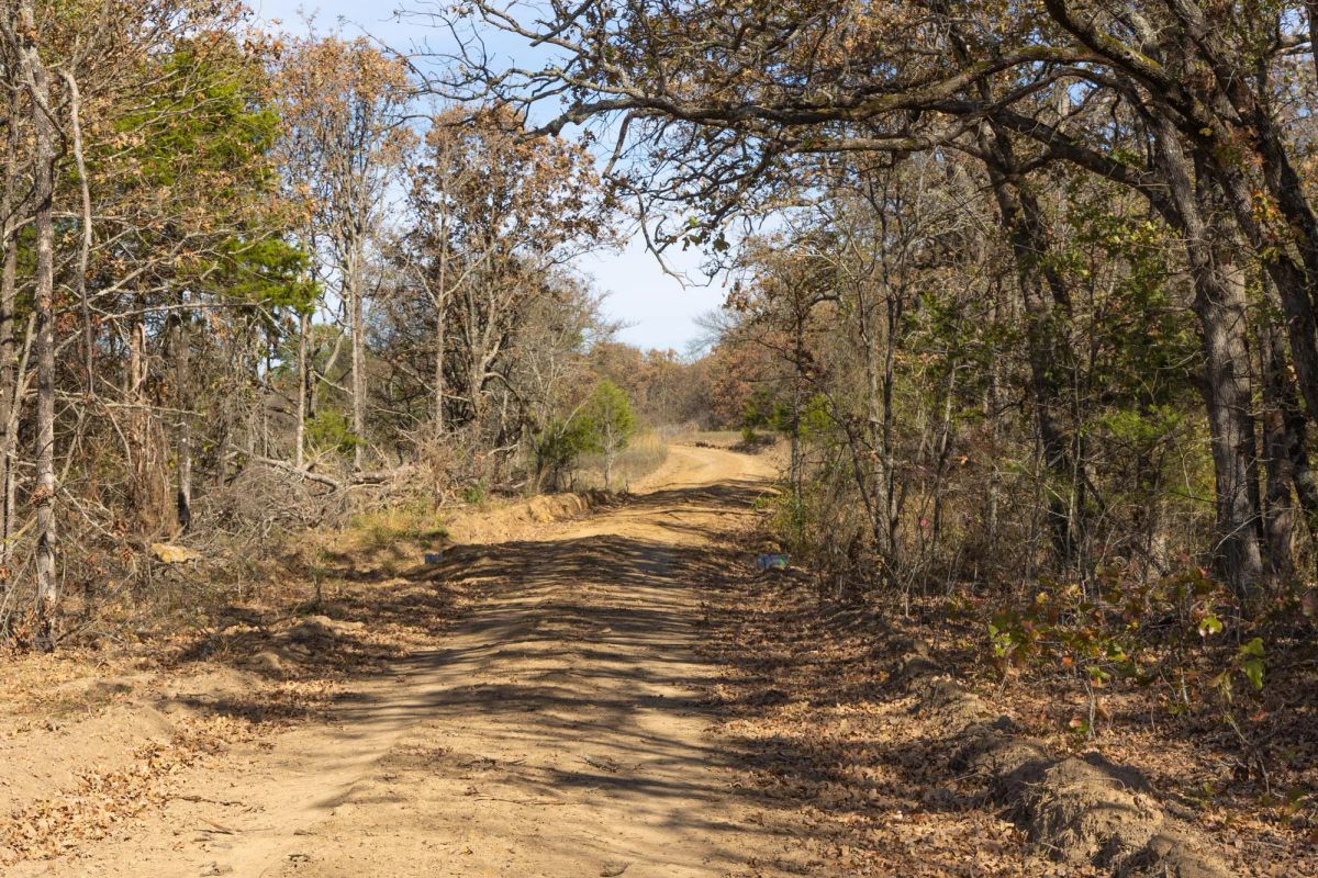 Decorative background for Harmony Hills Tract 48 image 5