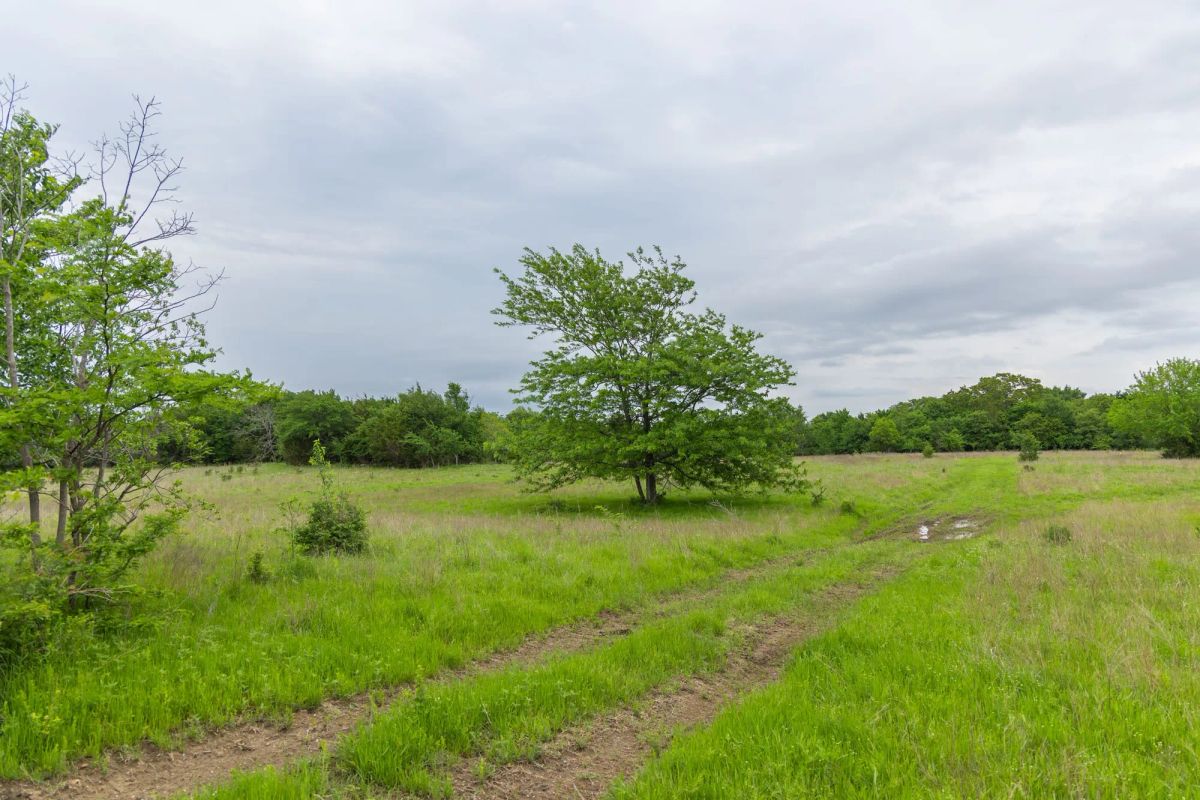 Harmony Hills Tract 11 - Image 3