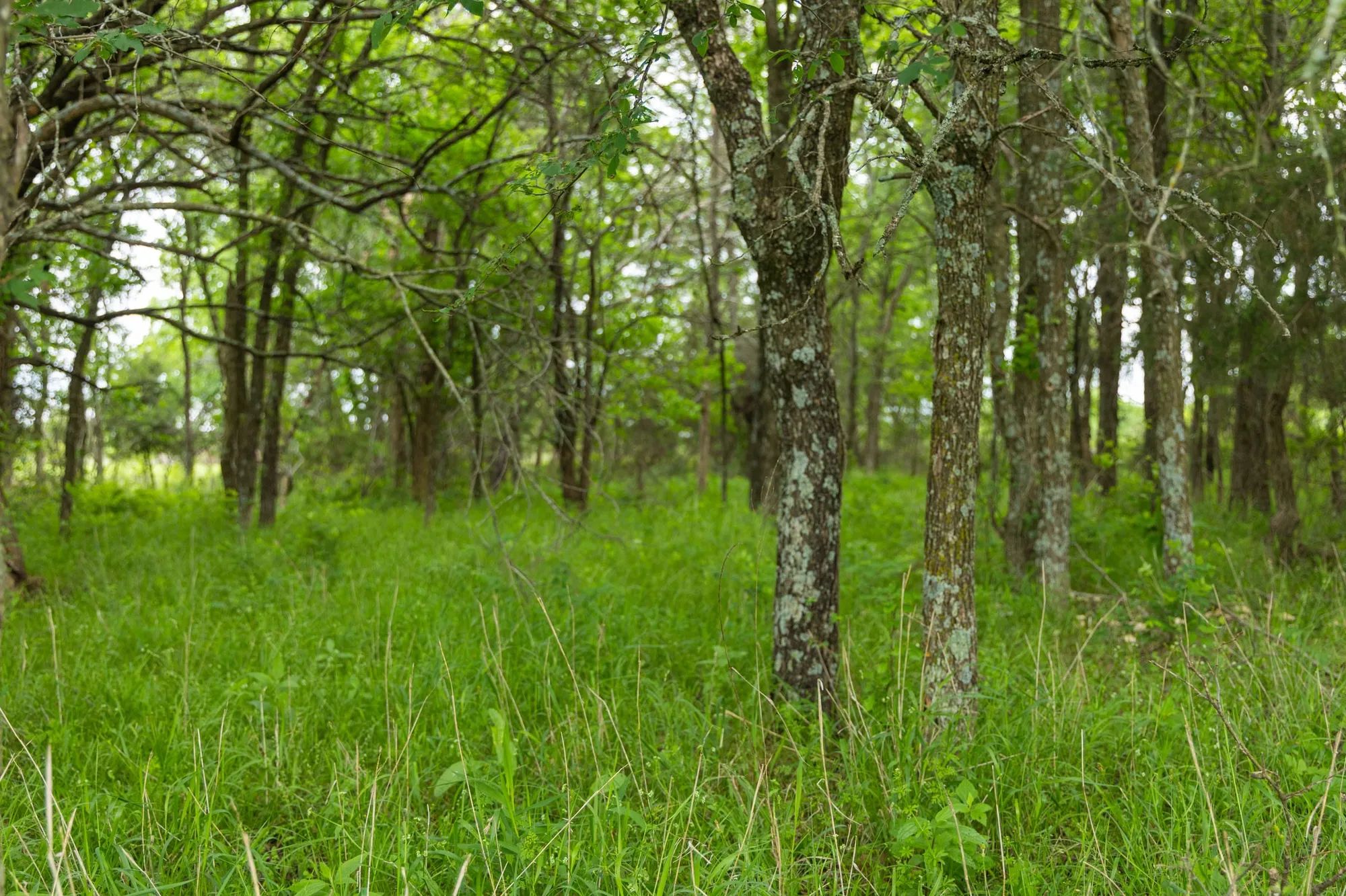 Harmony Hills Tract 11 in Pittsburg County, OK