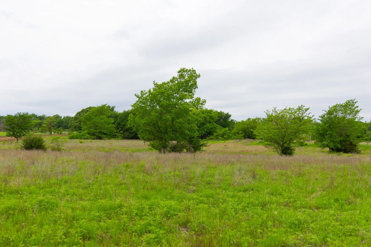 Decorative background for Harmony Hills Tract 11 image 5