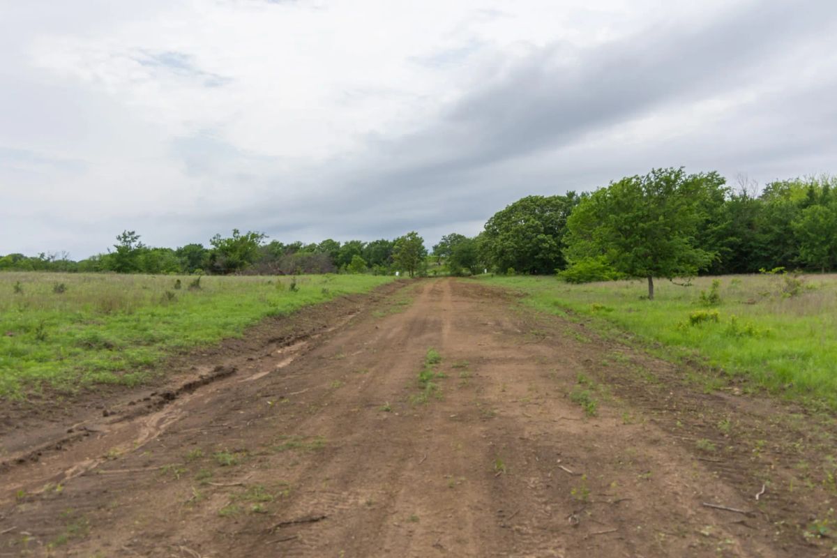 Decorative background for Harmony Hills Tract 11 image 6